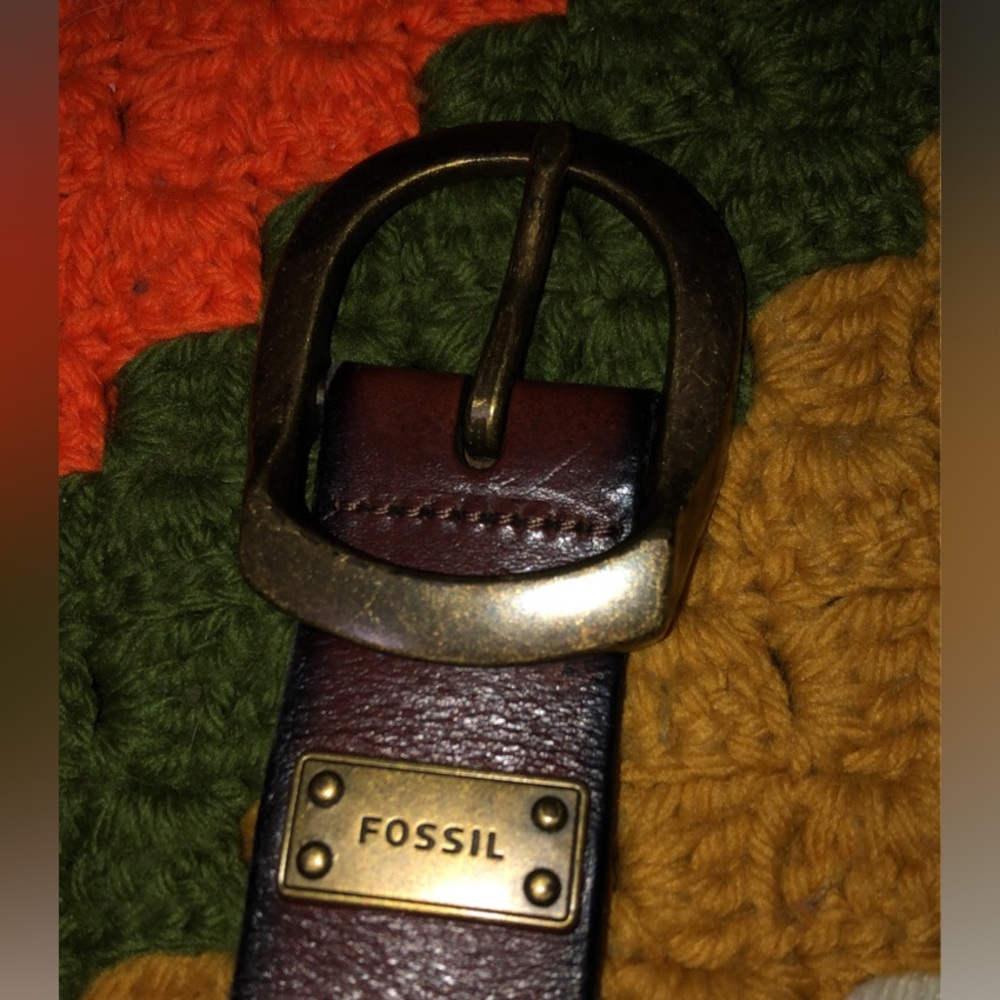 Fossil Belt